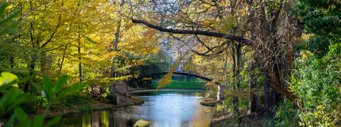 Zicht op het water en een bruggetje in de kruidtuin in Mechelen